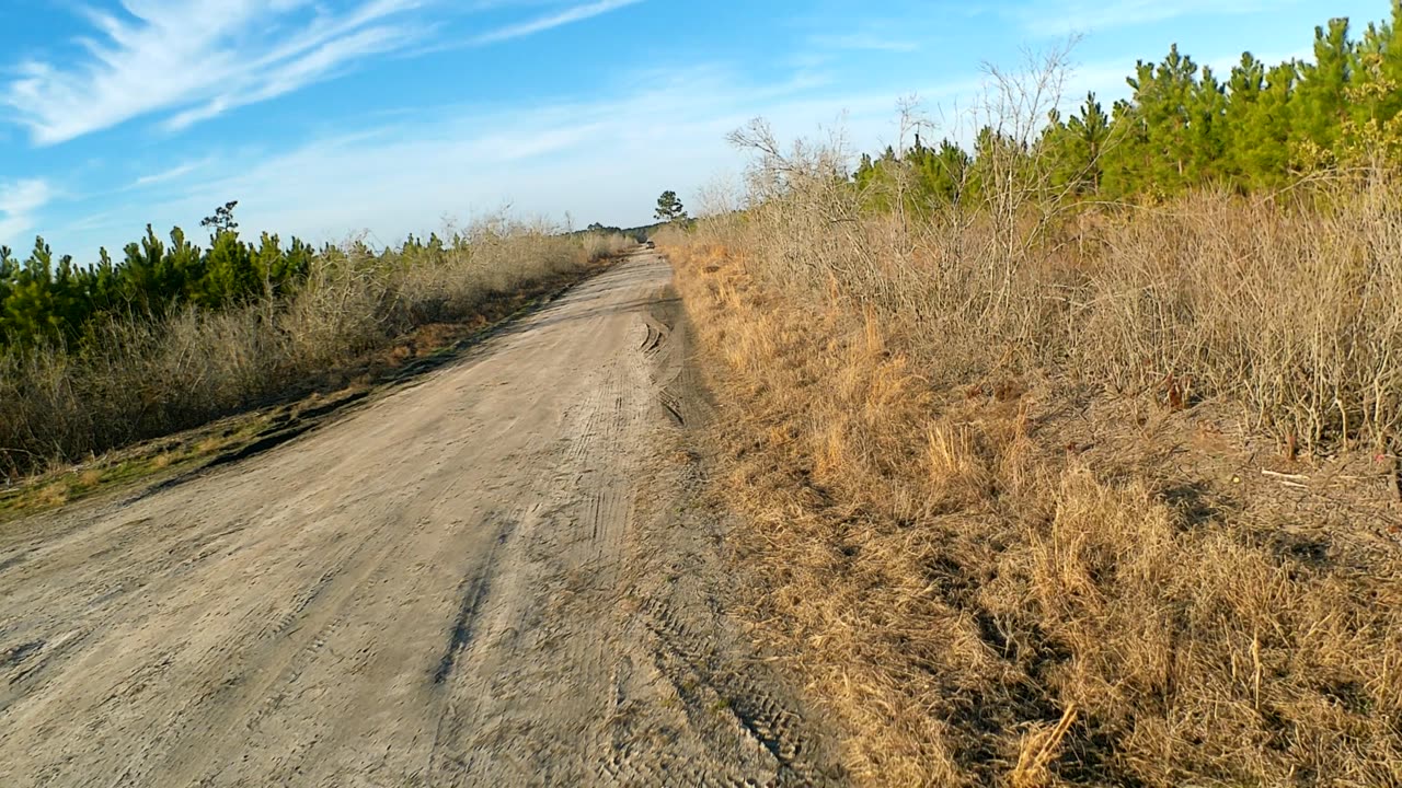 Too Close for Comfort: Ditch Line Encounter