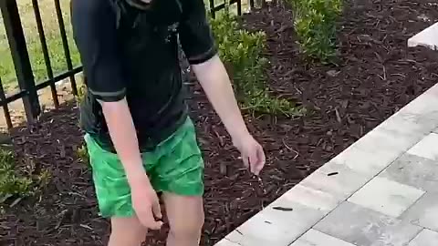 Incredible: 10 Ways to Jump Into a Pool!