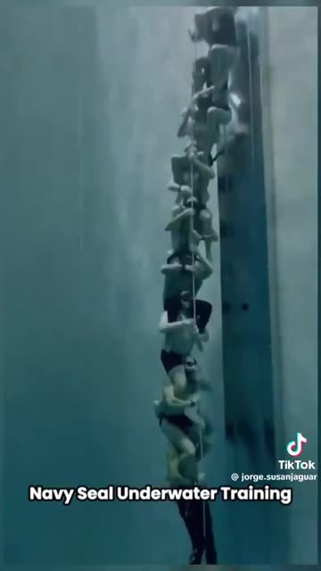 NAVY SEAL TRAINING