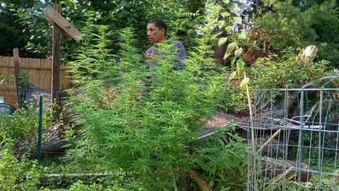 A Clip from GardenVlog #7