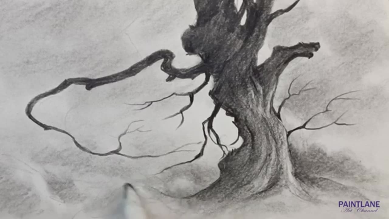 How to draw Dry Twisted Tree with Pencil || Step by step Pencil Art