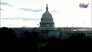 TWO CATS U.S. POLITICAL NEWS