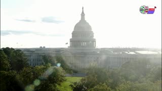 TWO CATS U.S. POLITICAL NEWS