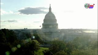 TWO CATS U.S. POLITICAL NEWS