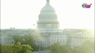 TWO CATS U.S. POLITICAL NEWS