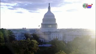 TWO CATS U.S. POLITICAL NEWS