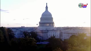 TWO CATS U.S. POLITICAL NEWS