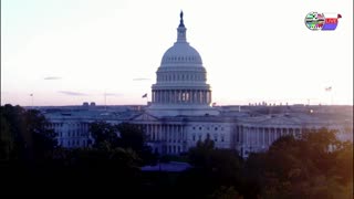TWO CATS U.S. POLITICAL NEWS