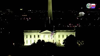 TWO CATS U.S. POLITICAL NEWS