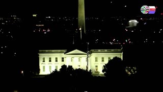 TWO CATS U.S. POLITICAL NEWS