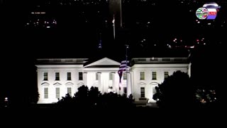 TWO CATS U.S. POLITICAL NEWS