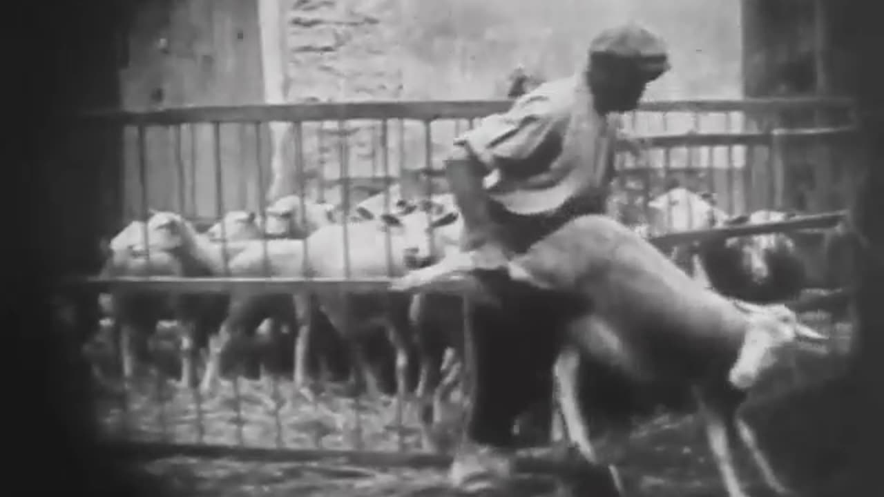 Health’s Defenders: Pasteur’s War