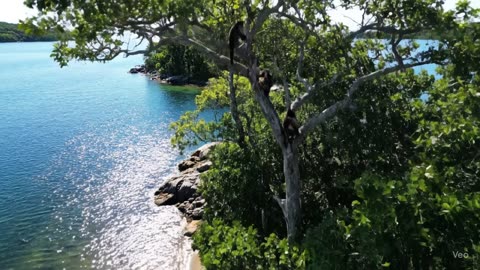Kingston 1000 Islands. 