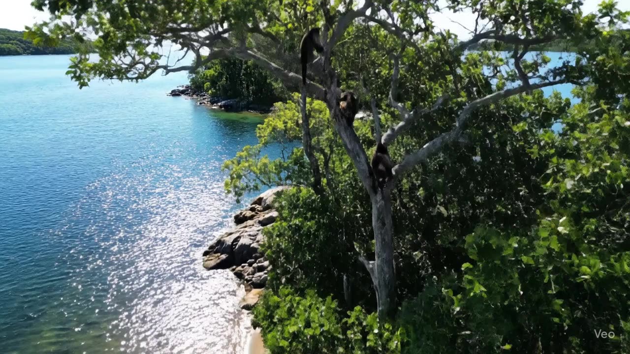 Kingston 1000 Islands.