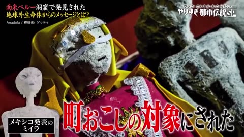 🔍👽 Exposing the Gov Disinfo: TV Tokyo's Investigation | TheTruthAbove