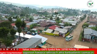 Oduu Ganama ONM-ABO Sadaasa 16-2025 itti dhiyaadhaa!