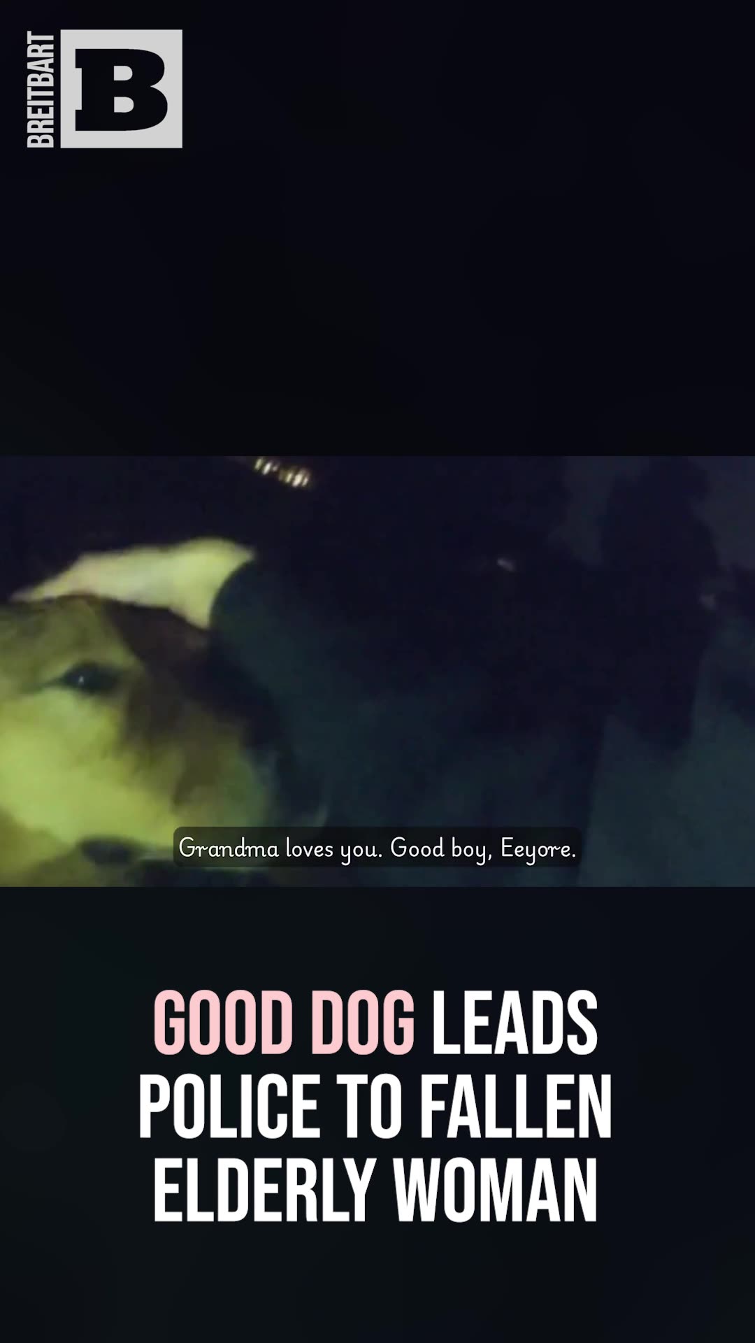 Good Dog Leads Police to Fallen Elderly Woman