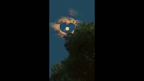 Calm Your Mind in 60 Seconds 🌲 | Soothing Birds & Nature Sounds