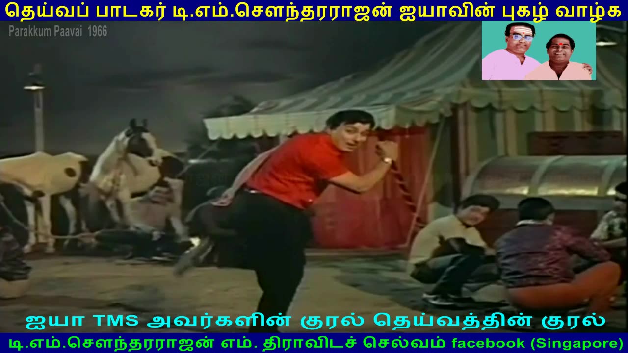 Parakkum Paavai 1966 song 3 TMS Legend