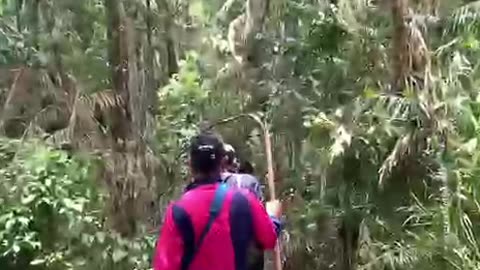 adventure in nature