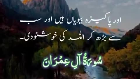 Beshak 💯♥️✨🕊️