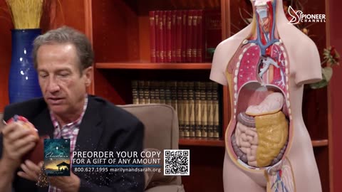 Pioneer Channel LIVE