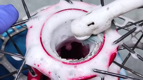 How to clean a bicycle wheel and the inside of the freehub body thoroughly.