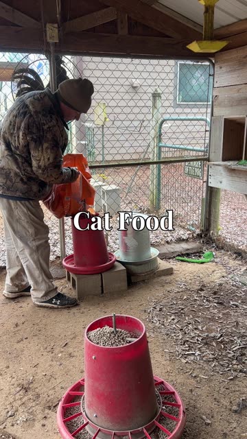 Cat Preparations for Cold Weather and Building Cat Houses