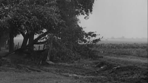 SIEGFRIED LINE, 79TH DIVISION AD... - SIEGFRIED LINE, 79TH DIVISION ADVANCE, GERMANY - 111-adc-10451
