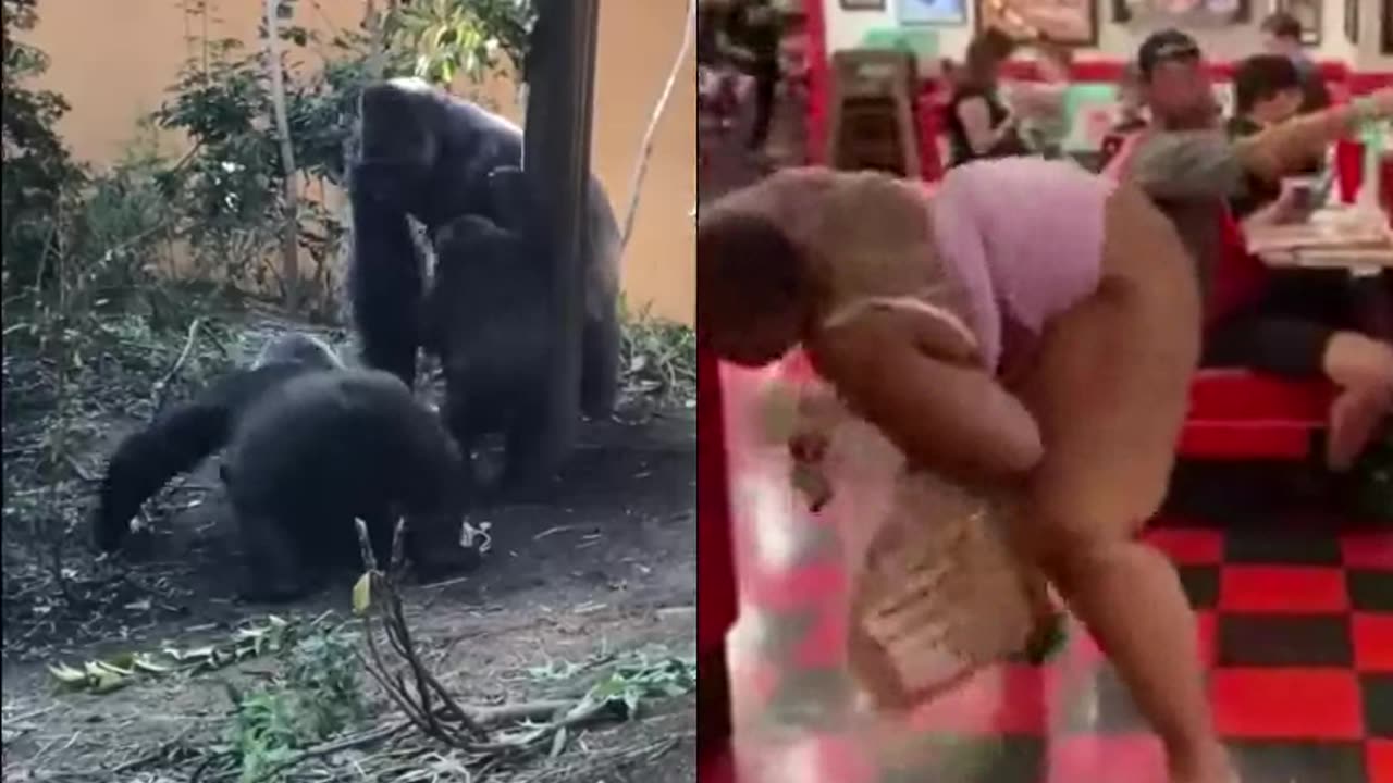 A néger twerkelés eredete