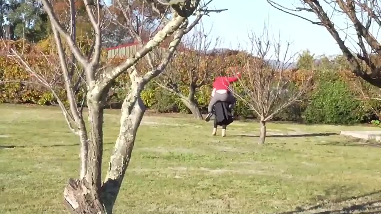 If animals glitched IRL 😂 pt 3