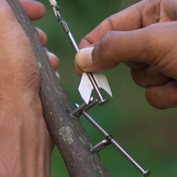 Black stick slightshots with colour balloon