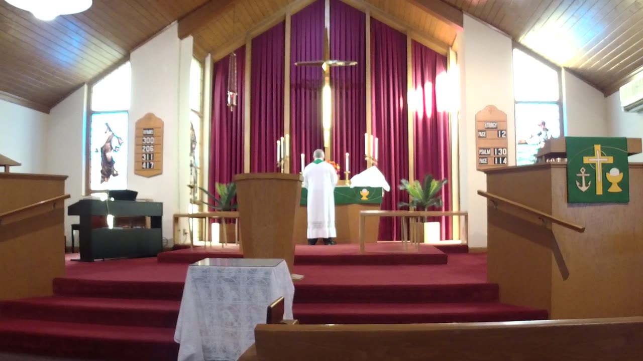 Focus! Focus! Focus!