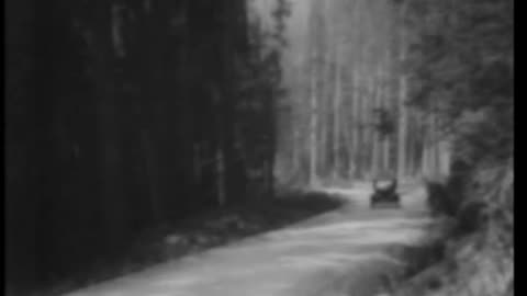 LAYING LUMBRICUS LOW - LAYING LUMBRICUS LOW - 33-246