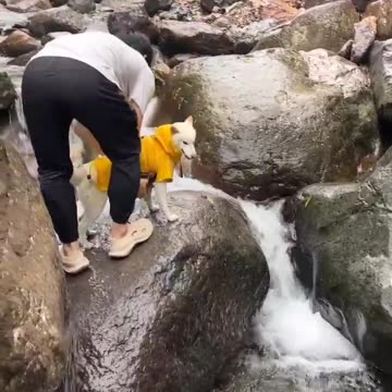 "A Boy Walking His Dog Slips, and the Dog Falls Too"