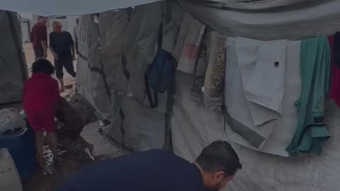 The scene of Qashqsh reflects the suffering of Gazans