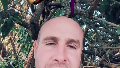 Jabs Or Right Hooks for Affiliate Marketing?