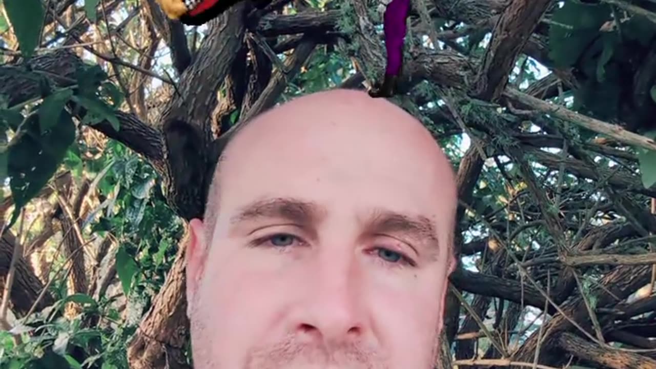 Jabs Or Right Hooks for Affiliate Marketing?