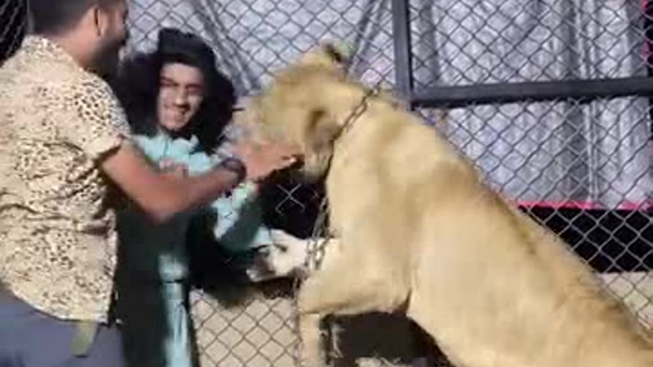 Lion attack on boys future 😅🤣🦁