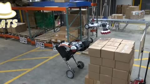 Warehouse Job - "Handle Robot" - Replacement (Human) Worker