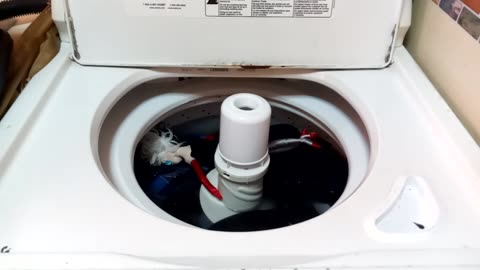 Cruella De Vil goes inside the washing machine