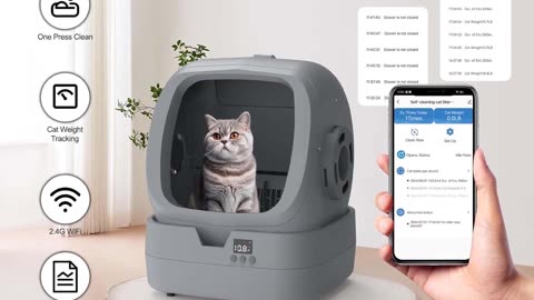 Best Reviews of Self-Cleaning Cat Boxes 2025 - Top 5 Best Automatic Litter Box