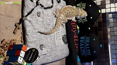 ⭕ Live Stream Day 5 2025 🔴 With 🐉 Mascots 🍎 🐲 Kobe & Health A Day In The Life Of Bearded Dragons🐲Day5🐉⭕Live🦎Stream🔴