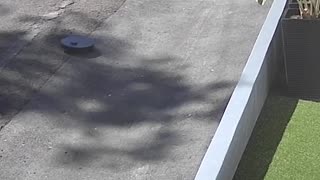 🤣🤖 This Robot Vacuum's Escape Plan FAILED! | FunFM
