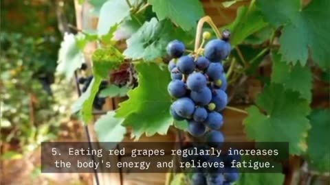 5 Benefits of Eating Red 🍇 Grapes For Everyone