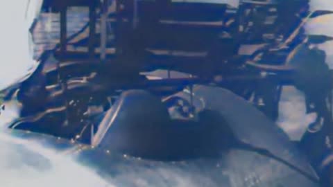 WWII American gunnery school 🎯 Recruits train for aerial precision ✈️ #Colourized