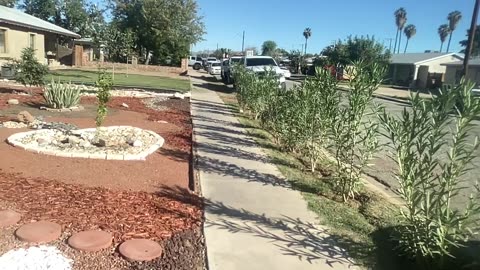 Oct 18/25 - The Yard