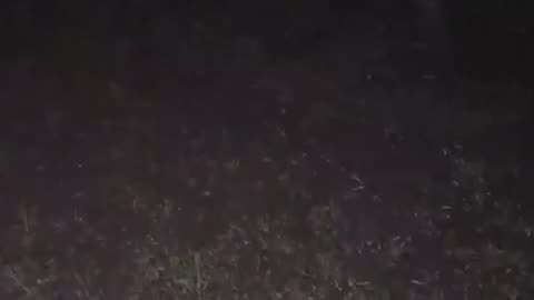 😨🏕️ You Won't Believe What This Camper Heard in the Woods | TheHauntingHour