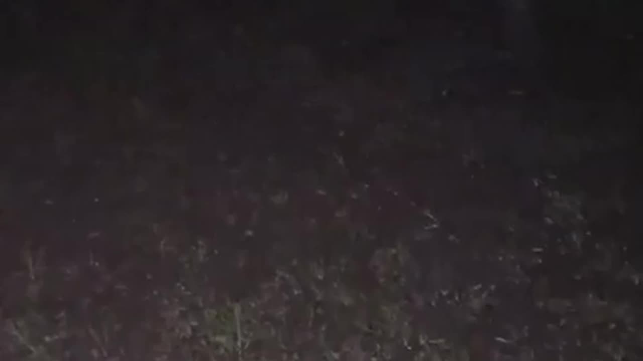 😨🏕️ You Won't Believe What This Camper Heard in the Woods | TheHauntingHour