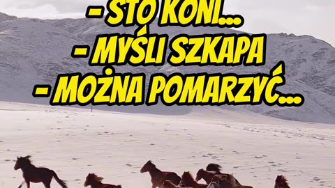 Koń, jaki jest, każdy widzi